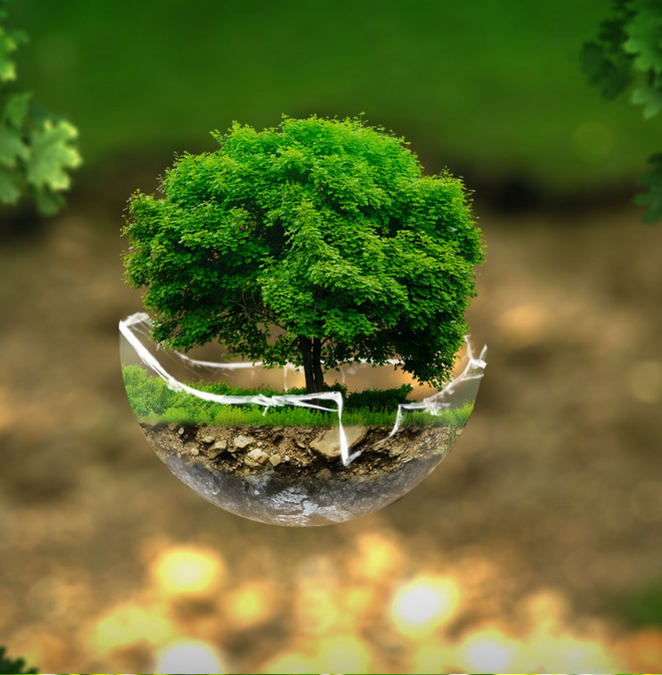 Common misconceptions about dry cleaning: Separating fact from fiction.